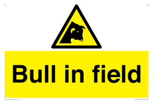 Bull in field
